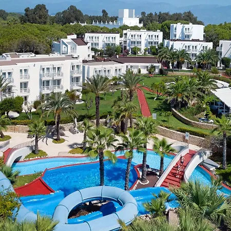 Monachus Family Sorgun