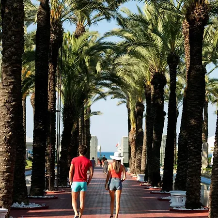 Отель Monachus Family Sorgun 5*